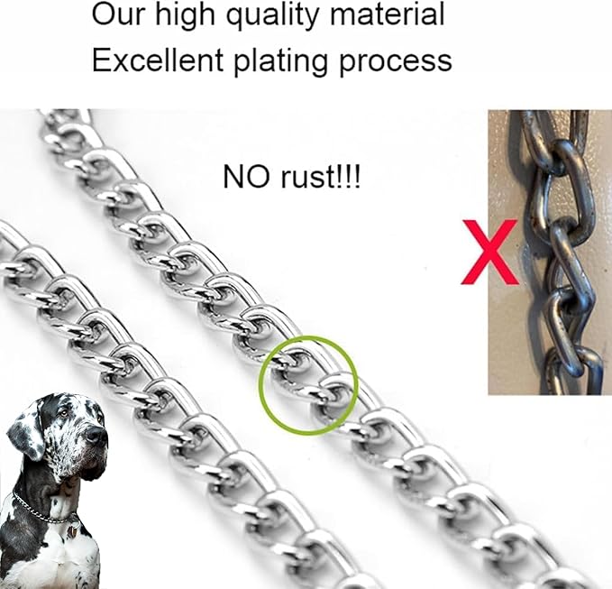 Choke Collar for Dogs, Metal Slip Dog Chain Collar for Puppy Collars for XS Small Medium Large Breed Dogs Boys Girls(Silver, XS
