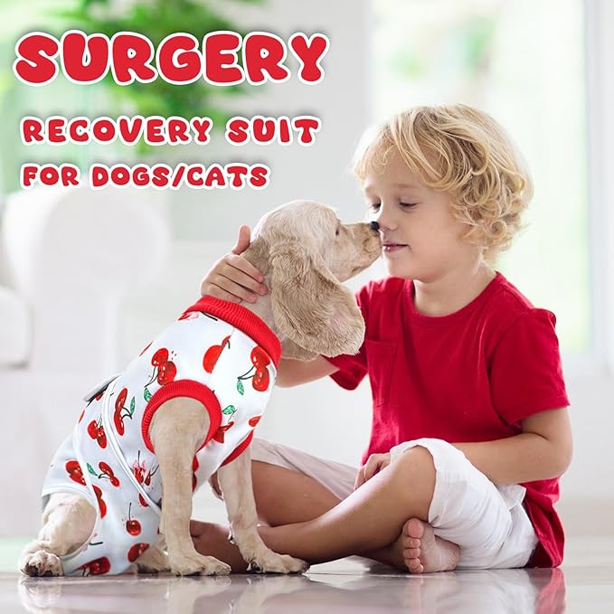 Dog Surgery Recovery Suit, Abdominal Surgical Suit for Male Female Dog Post Spay Neuter, Breathable Pet Onesie E-Collar & Cone Alternative, Surgery Shirt to Prevent Licking, Medium