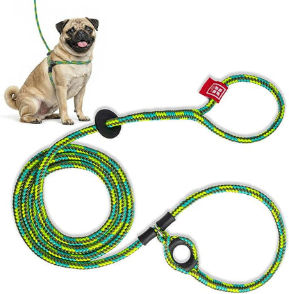 Harness Lead No Pull Dog Harness and Leash Set, Anti Pull Dog Harness, One-Piece Cushioned Rope Safely Prevents Escaping and Pulling (Small/Medium, Rainforest)