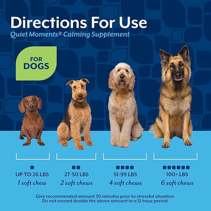 NaturVet Quiet Moments Calming Dog Supplement, Dog Soft Chews with Melatonin to Help Reduce Stress from Storms, the Vet, Fireworks, and Travel, Bacon and Chicken Flavored Pet Supplement, 65 Count