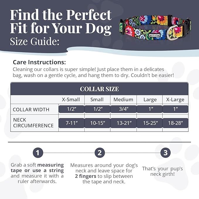 Lucky Love Dog - Easy Click Buckle Dog Collar with Leash Set Combo, Durable & Comfortable for Male & Female Dogs, Pet Collar for Small Dogs, Secure Fit - Hana Combo, XS