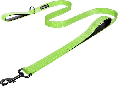 Dog Leash 5ft Long, Double Handle Dog Leash for Safety Control Training, Heavy Duty Dog Leads with Traffic Padded Handles, Reflective Leashes for Small Medium Large Dogs(5ft, Green)