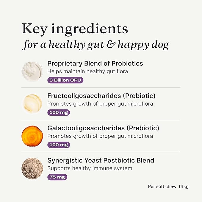 PetLab Co. Probiotics for Dogs, Support Gut Health, Occasional Diarrhea, Digestive Health & Seasonal Allergies - Salmon Flavor - Packaging May Vary - 30 Soft Chews Pack of 2