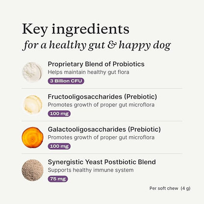PetLab Co. Probiotics for Dogs, Support Gut Health, Occasional Diarrhea, Digestive Health & Seasonal Allergies - Salmon Flavor - Packaging May Vary - 30 Soft Chews Pack of 2