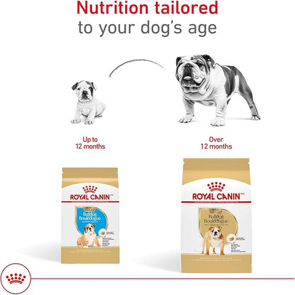 Royal Canin Breed Health Nutrition Bulldog Adult Dry Dog Food, 17 lb Bag