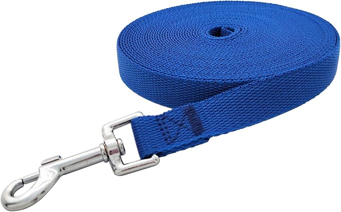 Nylon Training Dog Leash for Small Medium Large Dogs, 15ft 20ft 30ft 50ft Long Leash Dog/Puppy Lead for Obedience Recall Training, Camping (1" x 20ft, Blue)