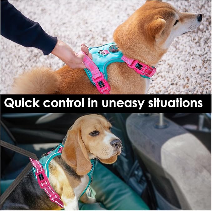 PHOEPET No Pull Dog Harness, Unique Colors Reflective Adjustable Dog Vest, with Soft Training Handle Metal Clips for Small Medium Large Dogs (Mint Green Base & Pink Straps,L)