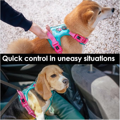 PHOEPET No Pull Dog Harness, Unique Colors Reflective Adjustable Dog Vest, with Soft Training Handle Metal Clips for Small Medium Large Dogs (Mint Green Base & Pink Straps,L)