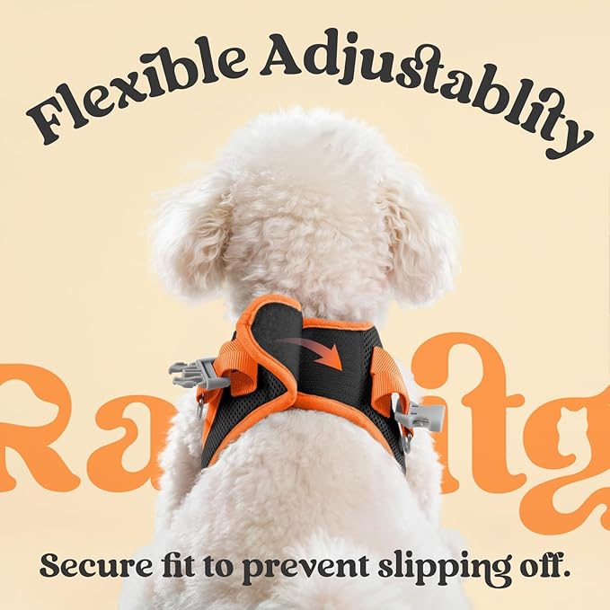 rabbitgoo Dog Harness Small Sized and Leash Set, Step-in Breathable Pet Harness, Soft Walking Reflective Puppy Vest for Small Dogs, Black & Orange, XXS
