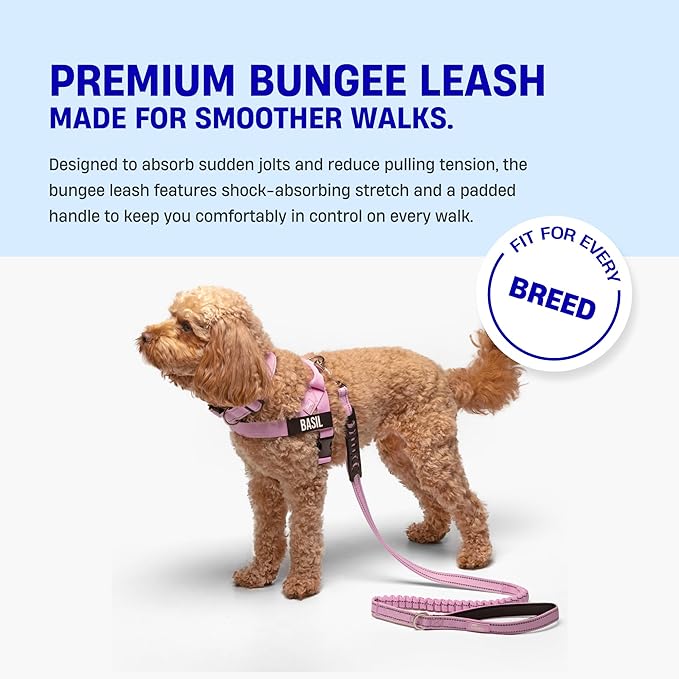 Dog Friendly Co. Bungee Dog Leash | Strain Free & Shock Resistant for Control | Neoprene Padded Handle, Heavy-Duty Carabiner Clip, and D-Ring | Grey Camo, Size Regular
