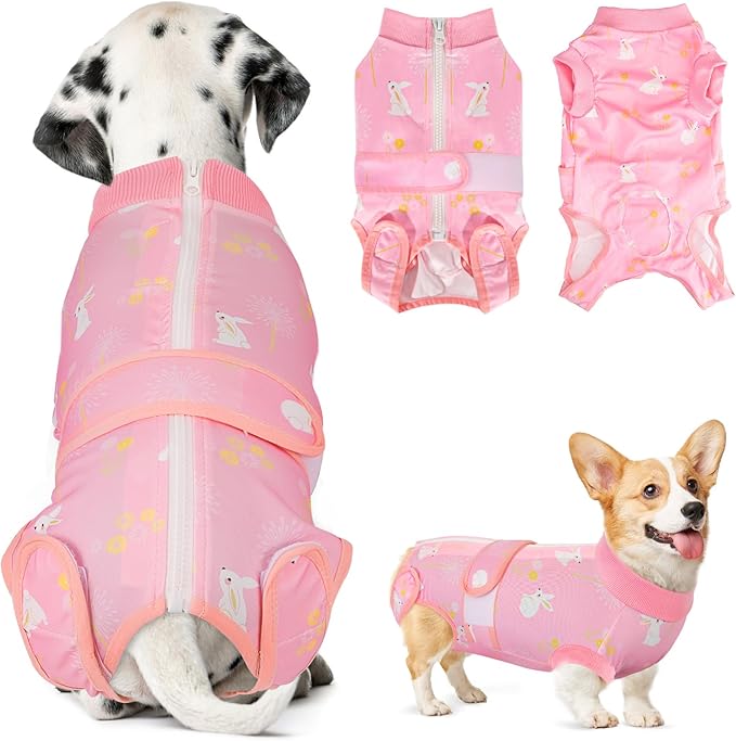 Lukovee Recovery Suit for Dogs, Zipper On Recovery Suit for Female Male Dog, Onesie Abdominal Wounds Cone E-Collar Alternative Prevent Licking Spay Recovery Suit (XS, 2PI)