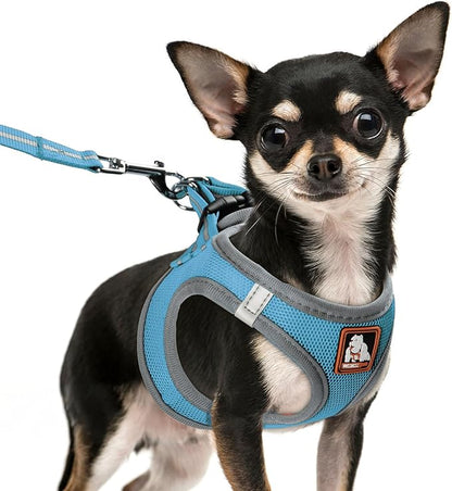 Dog Harness Medium Sized Dogs, Puppy Harness and Leash Set for Training, Running, Walking, Suitable for Small and Medium Dog Vest, Blue, XS