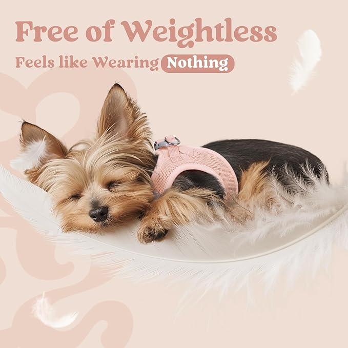 rabbitgoo Small Dog Harness, Step-in Soft Mesh Puppy Vest with Safety Buckle, Breathable Reflective Pet Harness for Small Medium Dogs, Pink L