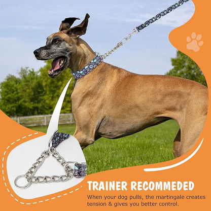 Skull Chain Martingale Collar for Dogs, No Pull Slip Cinch Choker Choke Collar Training Escape Proof Heavy Duty Dog Collar for Extra Large Medium Large Pet Boy Male Dogs, M