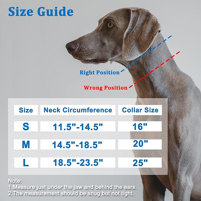 Mayerzon Martingale Collar for Dogs, No Pull Dog Collar with Reflective Strip for Small Medium Large Dogs, Anti Pulling Dog Collar with Buckle for Walking Training, Safe for Night Walk(Black, L)