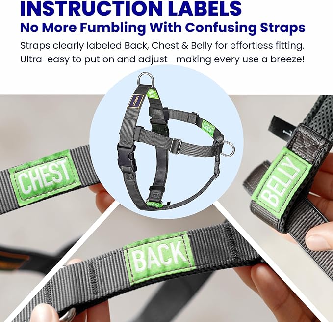Freedom No Pull Dog Harness for Large Dogs, Easy Walker, Anti Pull with Two Stainless D-Rings, Comfortable, Sewn-in Instructions Tags for Easy Use (Black, XL)