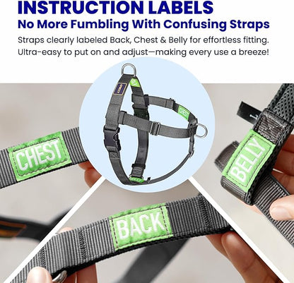Freedom No Pull Dog Harness for Large Dogs, Easy Walker, Anti Pull with Two Stainless D-Rings, Comfortable, Sewn-in Instructions Tags for Easy Use (Black, XL)