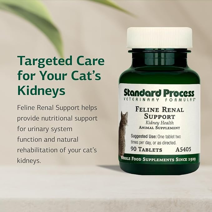 Standard Process Inc. Feline Renal Support - Cat Supplement to Maintain Kidney & Urinary Health, Cat Supplies with Whole-Food Based Ingredients, Feline Supplement to Aid Renal Function - 90 Tablets