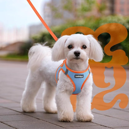 rabbitgoo Dog Harness Small Sized and Leash Set, Step-in Breathable Pet Harness, Soft Walking Reflective Puppy Vest for Small Dogs, Light Blue & Orange, M