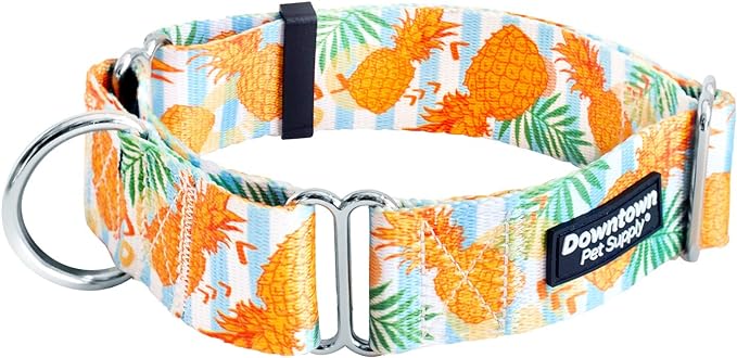 Downtown Pet Supply - Martingale Collar for Dogs - Dog Training Collar - Big, Wide & Thick Dog Collar - Escape-Proof, Weatherproof, Durable and Comfortable - Pineapple - Medium Dog Collar