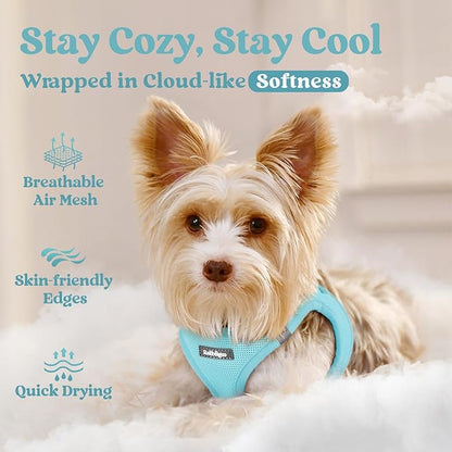 rabbitgoo Small Dog Harness, Step-in Soft Mesh Puppy Vest with Safety Buckle, Breathable Reflective Pet Harness for Small Medium Dogs, Mint Blue XL