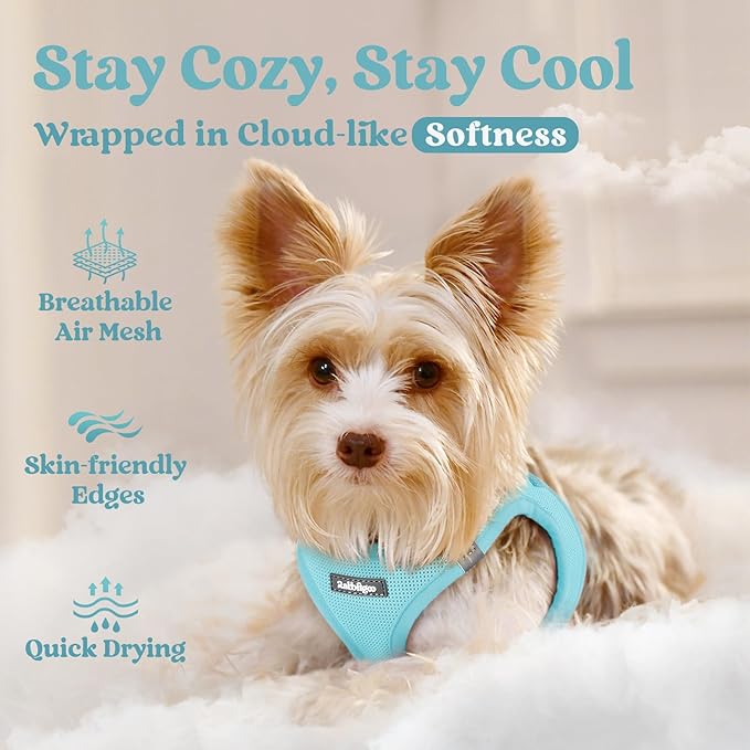 rabbitgoo Small Dog Harness, Step-in Soft Mesh Puppy Vest with Safety Buckle, Breathable Reflective Pet Harness for Extra Small Dogs, Mint Blue XXS