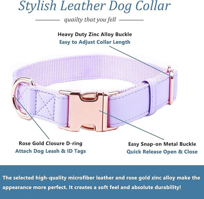 Dog Collar and Leash Set.Soft and Easy to Clean Vegan Leather with Rose Gold Metal Buckle for Small Medium Large Dogs (Light Purple, XS(8"-12"))