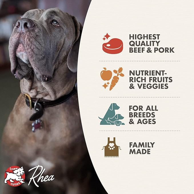 Fromm Four-Star Nutritionals Beef Frittata Veg Dog Food - Premium Dry Dog Food - Beef Recipe - 12 lb