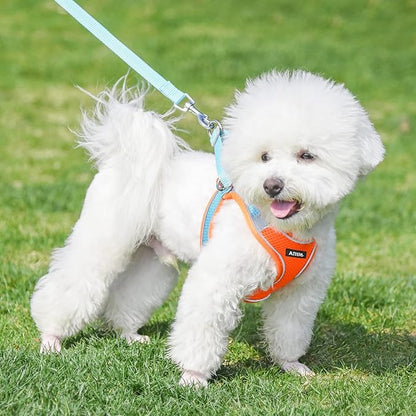 AIITLE Easy Walk Dog Harness and Leash Set - Pet Supply No Pull, Step in Adjustable Dog Harness with Padded Vest, Dog Harness No Choke Over, Easy to Put on Medium Dogs Orange L