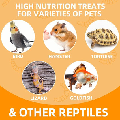 6 Pack Canned Dubia Roaches for Reptiles, Birds and Small Animals, Dubia Roaches, Healthy High Protein Treat, Reptile Food 7.2 Ounces Total