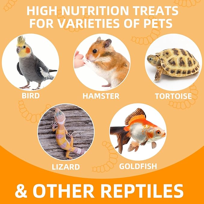 6 Pack Canned Small Grasshoppers for Reptiles, Fish, Birds and Small Animals, Grasshoppers, Healthy High Protein Treat, Bearded Dragon Food 1.2 Ounces Each