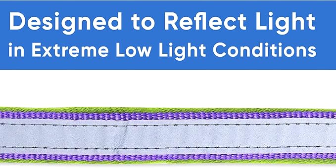 Pawtitas Lumberjack Padded Martingale Collar for Dogs | Soft Neoprene Dog Collar for Your pet's Comfort Made with Reflective Band for Maximum Visibility | Fits Small and Large Pets - Large Purple