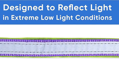 Pawtitas Lumberjack Padded Martingale Collar for Dogs | Soft Neoprene Dog Collar for Your pet's Comfort Made with Reflective Band for Maximum Visibility | Fits Small and Large Pets - Large Purple