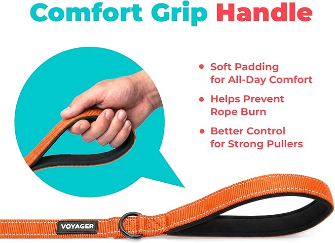 Best Pet Supplies Voyager Reflective Dog Leash or Collar with Neoprene Handle, for Small, Medium, and Large Breed Puppies, Cute and Heavy Duty for Walking, Running and Training - Orange (Leash), S