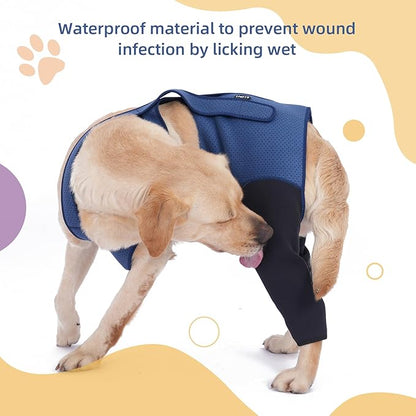 Dog Hind Leg Recovery Sleeve Dog Recovery Suit as Cone Collar Alternative, 2.5mm Thick and Waterproof, Prevent Pet Wounds Licking, Biting (2XLarge)