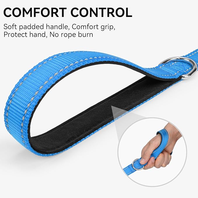Joytale Dog Leash, 6 FT Double-Sided Reflective, Padded Handle Nylon Heavy Duty Leashes for Medium & Large Dogs Walking, SkyBlue