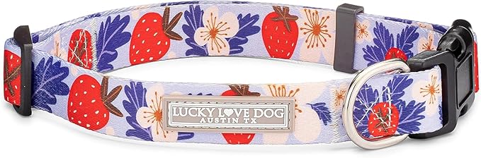 Lucky Love Dog - Adjustable Dog Collar with Easy Click Buckle for Large Ones, Durable, & Comfortable for Male & Female Dogs, Pet Collar for Puppies & Adult Dogs - Sweet Berry, Large