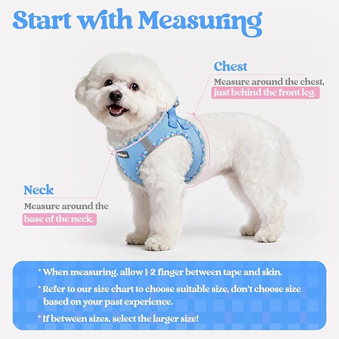 rabbitgoo Dog Harness Small Sized and Leash Set, Step in Soft Light Puppy Vest, Breathable Mesh Pet Harness, Reflective for Safe Easy Walking, Blue & Plaid Trim M