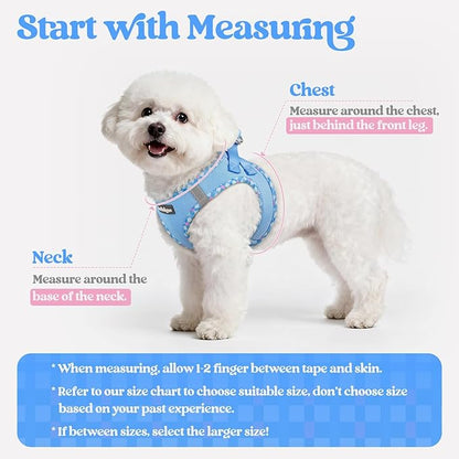 rabbitgoo Dog Harness Small Sized and Leash Set, Step in Soft Light Puppy Vest, Breathable Mesh Pet Harness, Reflective for Safe Easy Walking, Blue & Plaid Trim M