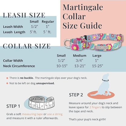 Lucky Love Dog Martingale Dog Collar & Leash - Adjustable, No-Slip, Durable, Comfortable, Soft Webbing, & Stylish Patterned Collar & Leash Set for Male and Female Dogs - Penny Combo, Large