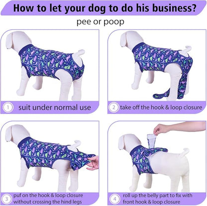 PetWarm Surgery Recovery Suit Female Spay, Onesies for Dogs, Dog Cone Alternative After Surgery Substitute E-Collar and Cone Prevent Dog Onesies Pet Recovery Suit, Dinosaur Pattern, Blue Purple, XS