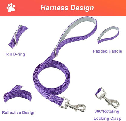 Hipubby Dog Harness Small Sized and Leash Set, No Pull Soft Mesh Puppy Vest, Reflective Breathable Lightweight Pet Harness, Harness for Small Medium Dogs and Cats - Purple/White Trim, L