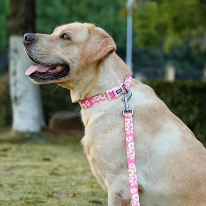 Dog Collar and Leash Set, Cute Pink Daisy Pattern, Polyester Material, 5ft Leash, for Medium Dogs.(Medium,Pink Daisy)