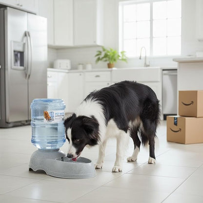 3 Gallon Large Dog Water Dispenser, Automatic Gravity Pet Waterer Station for Large Dogs and Multiple Pets, Indoor/Outdoor Dog Water Bowl with Anti-Slip Base, BPA-Free, Grey