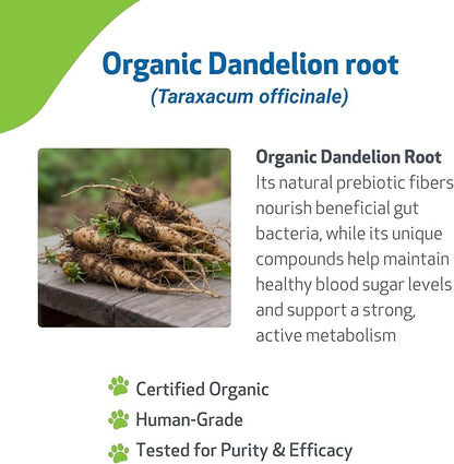 Pet Wellbeing Dandelion Root for Dogs - Liver & Heart Health, Digestive Function, Blood Sugar Support, Certified Organic - Veterinarian-Formulated Herbal Supplement 4 oz (118 ml)