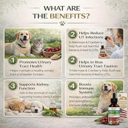 Herbal Urinary Tract Drops for Pets - 60ml Urinary Tract Support with Glucosamine & Natural Herbs, UTI Relief & Bladder Health Supplement for Dogs & Cats, Easy-to-Use Liquid Drops (2Oz)