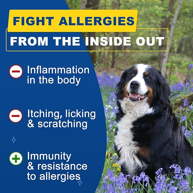 Dog Allergy Relief, Itch Relief for Dogs, Colostrum, Probiotics for Dogs Support Immunity, Omega3, Honey for Dry & Itchy Skin Relief, Seasonal Allergy, Pawlicking, Hot Spot Treatment, 75 Immune Bites