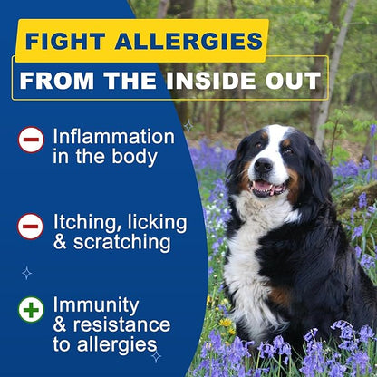 Dog Allergy Relief, Itch Relief for Dogs, Colostrum, Probiotics for Dogs Support Immunity, Omega3, Honey for Dry & Itchy Skin Relief, Seasonal Allergy, Pawlicking, Hot Spot Treatment, 95 Immune Bites