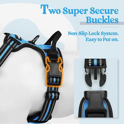 rabbitgoo Dog Harness No Pull with 2 Leash Clips, Adjustable Soft Padded, Reflective Oxford No Choke Pet Vest with Easy Control Handle for Small Dogs, Blue, S