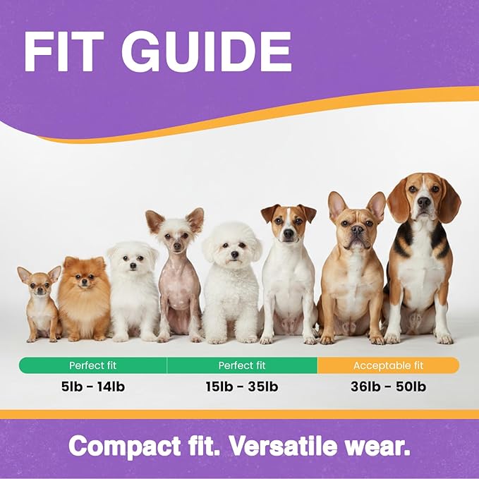 Educator ME-300 Micro E Collar for Dog Training with Remote - 1/3 Mile Range, Waterproof, 100 Blunt Stimulation Levels, Tone or Vibration Mode, Night Tracking Light for Small, Medium & Large Dogs